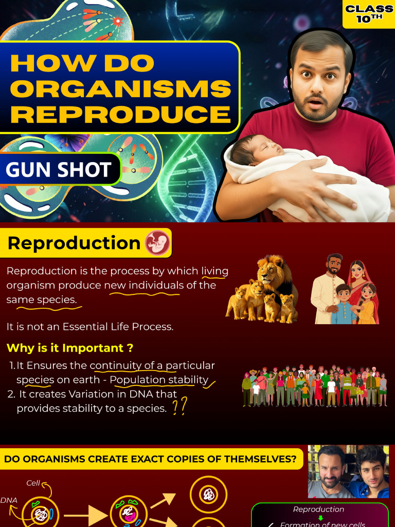 Reproduction Notes | PDF