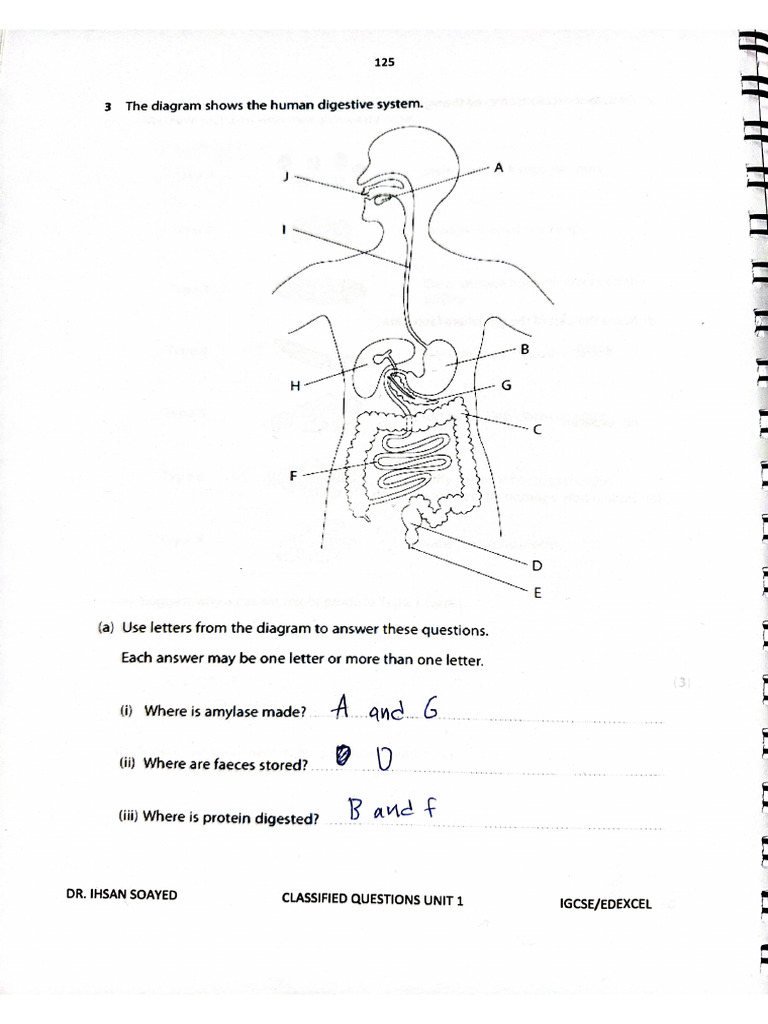Document 67 | PDF