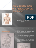 Embriologia Histologia Anatomia y Fisiologia de