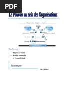 Le Pouvoir Au Sein Des Orga