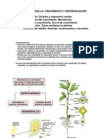 Crecimiento y diferenciación celular en plantas