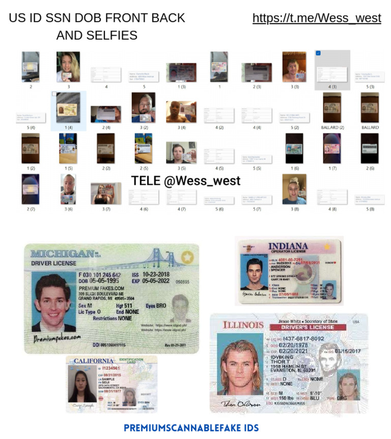 Fake Id | PDF