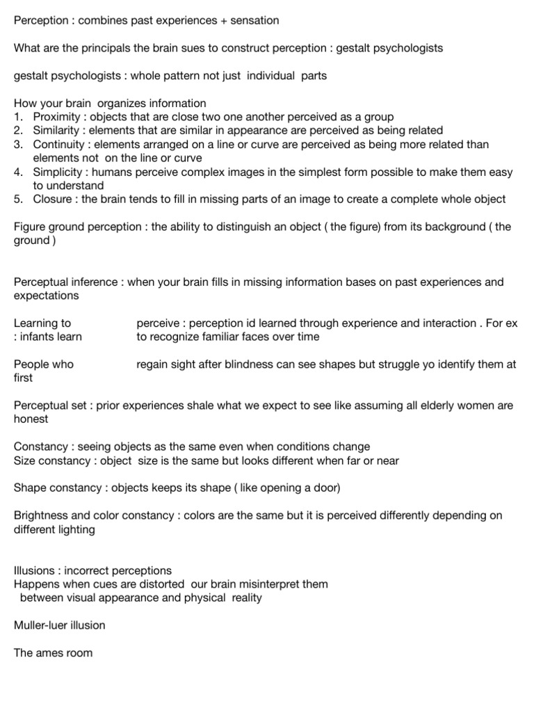 Understanding Perception Principles | PDF