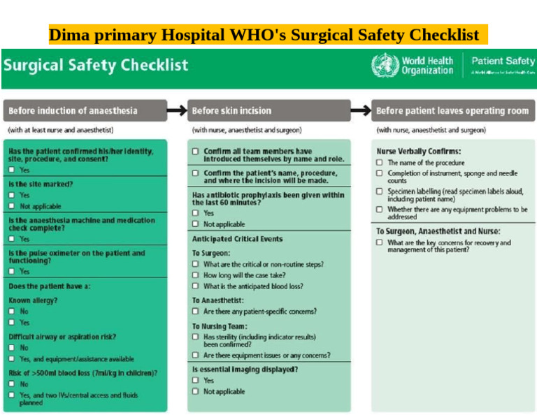 Who Safe Check List | PDF
