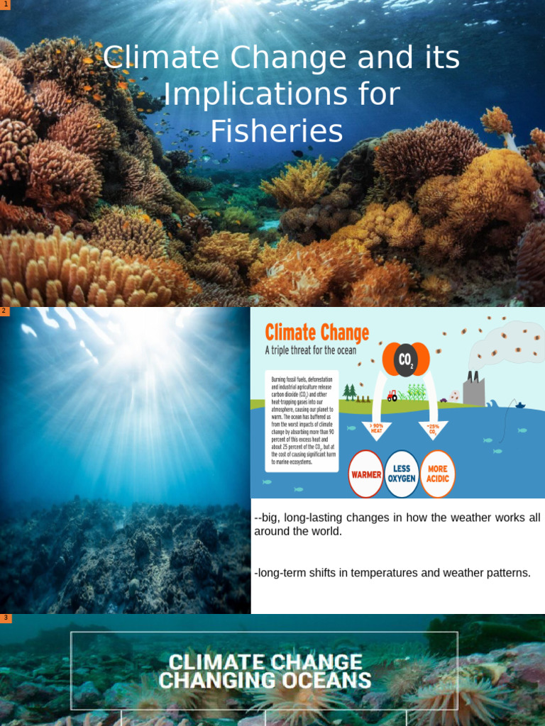 Climate Change Effects on Fisheries | PDF | Climate Change | Sea Level Rise