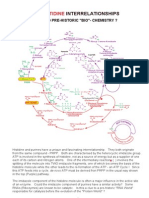 35 ATP - Histidine Interrelationships