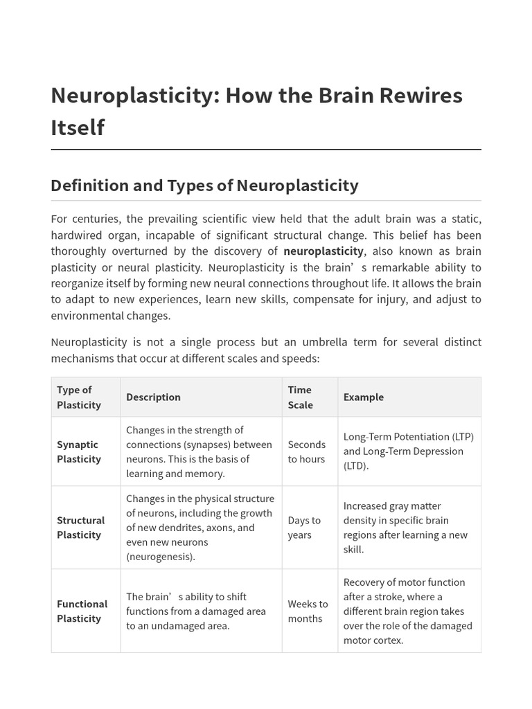 07 Neuroplasticity How The Brain Rewires Itself | PDF | Neuroplasticity ...