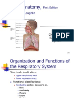 Ch25 Respiratory System