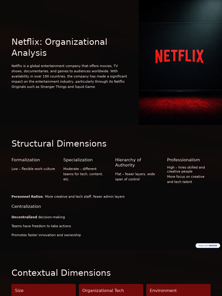 Netflix Organizational Analysis Overview | PDF | Organizational ...