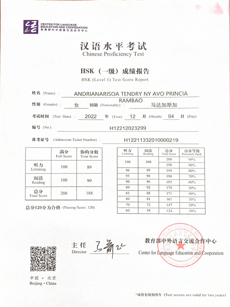Chinese Proficiency Test | PDF