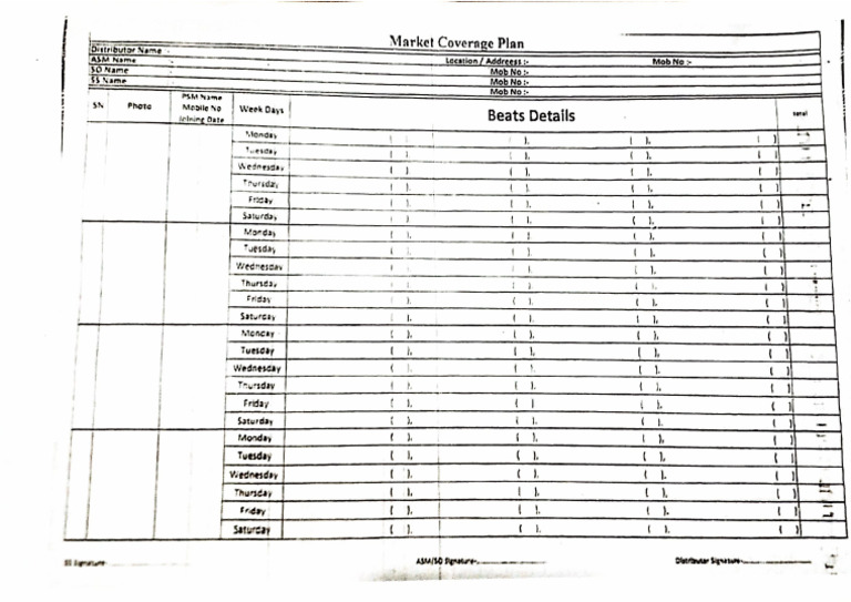 Market Coverage Plan | PDF