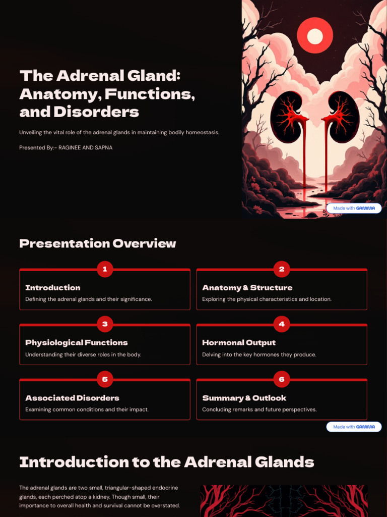 Adrenal Glands: Anatomy and Disorders | PDF | Adrenal Gland | Endocrine ...