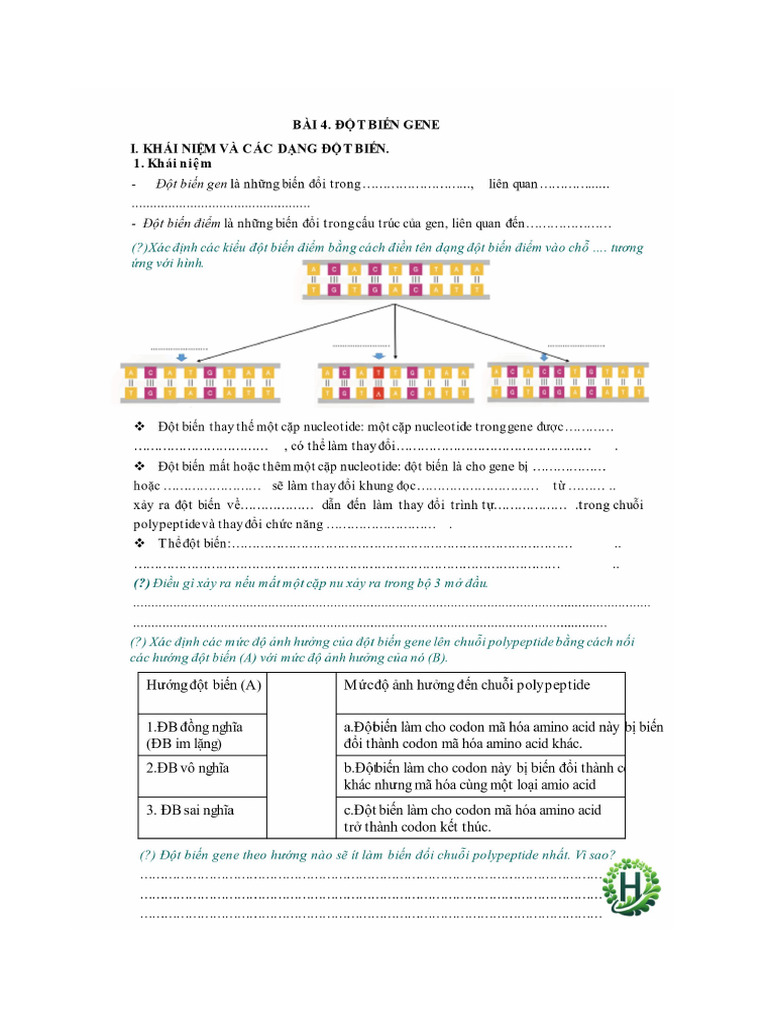 ĐỘT BIẾN GEN Doc1 | PDF