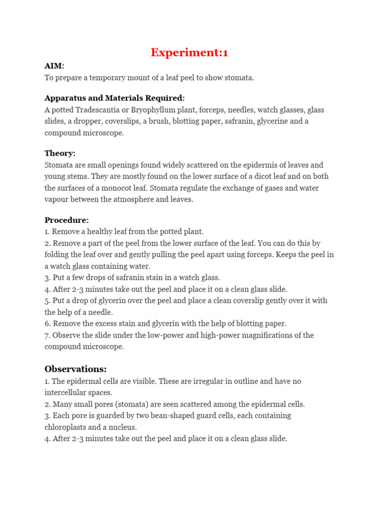 Xth Practical Biology Pdf Leaf Seed