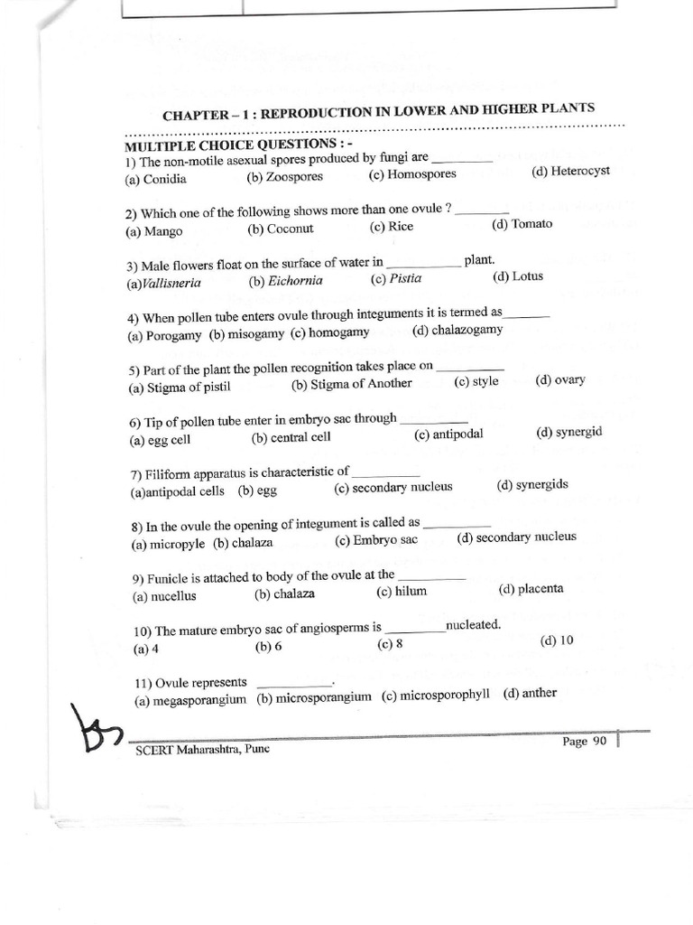 Chapter 1,2 Questions | PDF