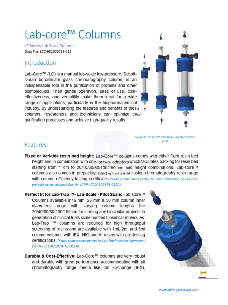 Lab-Core Column Data File LCC-951000765-012 | PDF | Chromatography ...