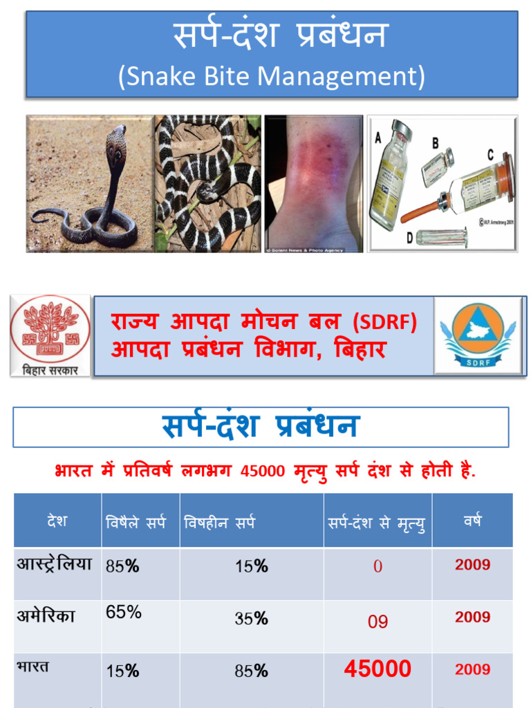 Snake Bite U | PDF
