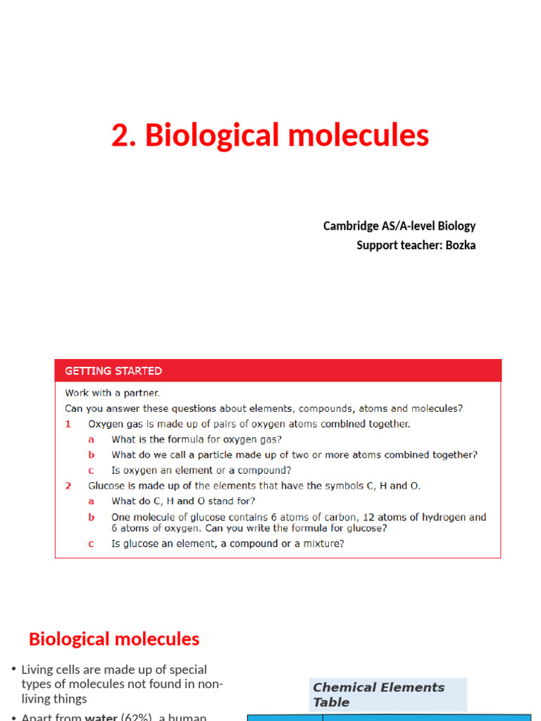 Understanding Biological Molecules | PDF | Dna | Nucleotides