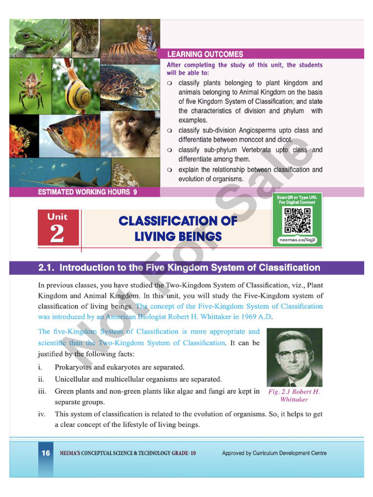 WHAT IS CLASSIFICATION CLASS 10 visual data 6