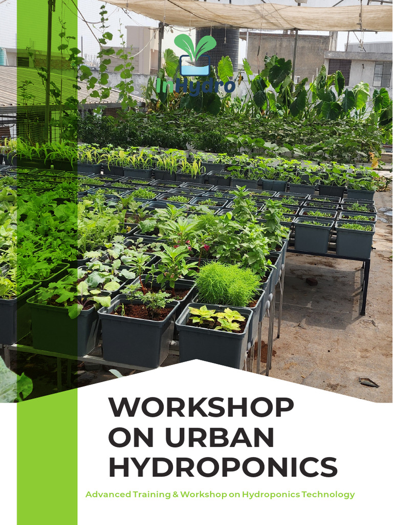 Urban Hydroponics Workshop Overview | PDF | Hydroponics | Agriculture