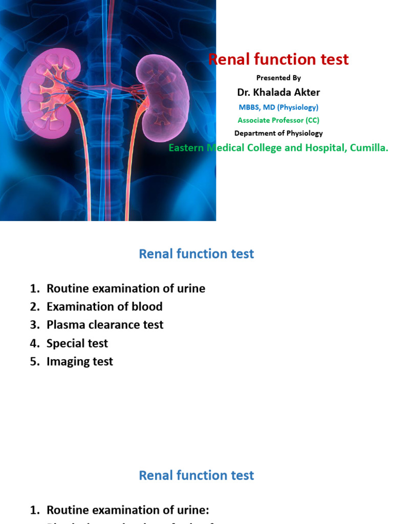 Comprehensive Guide to Renal Function Tests | PDF | Kidney | Urine