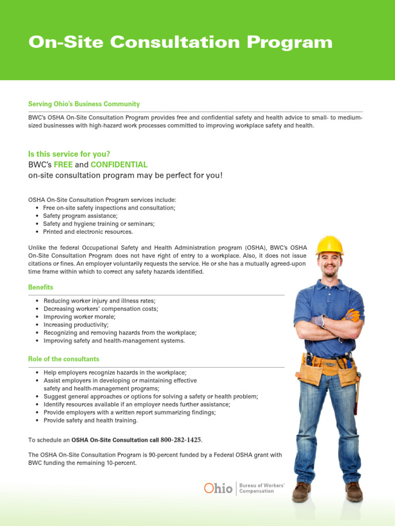 On-Site Consultation Program Flyer For Marketing | PDF
