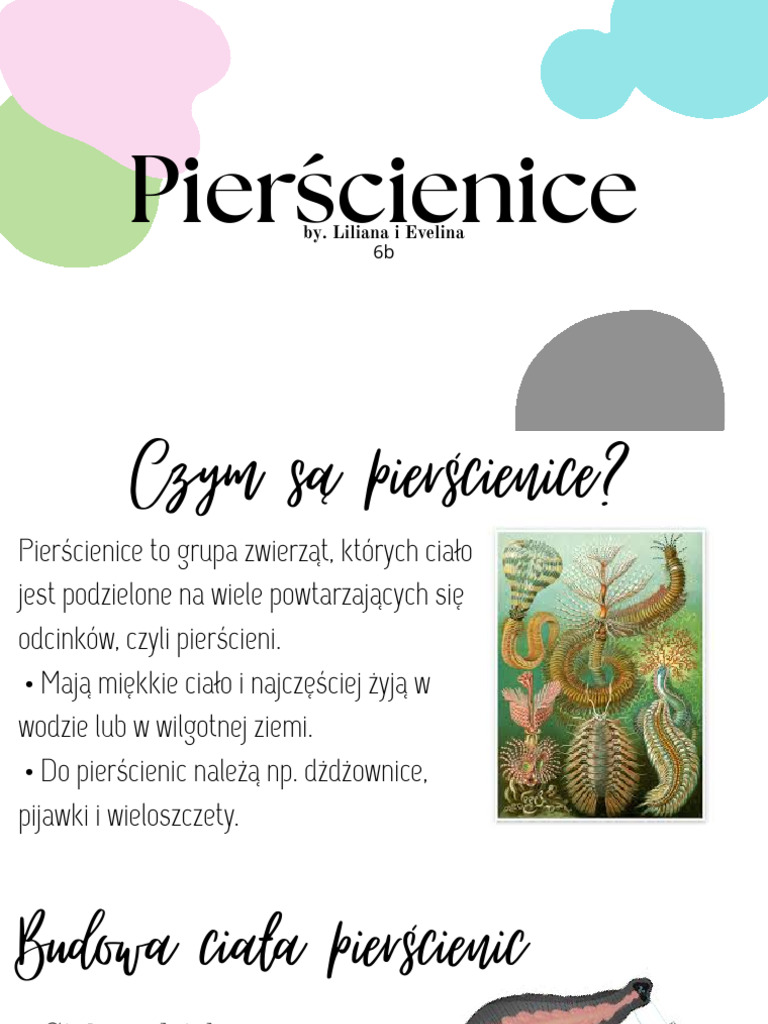 pier-cienice-20251125-123053-0000-pdf