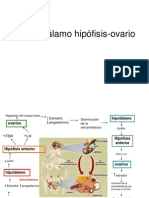 Ejehipotlamohipfisisovario 110903160255 Phpapp02