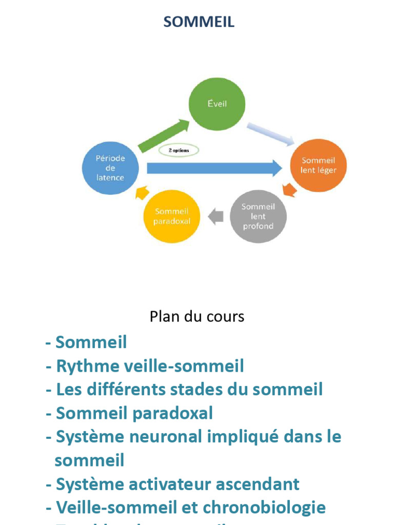 Comprendre le Sommeil et ses Rythmes | PDF | Sommeil ...
