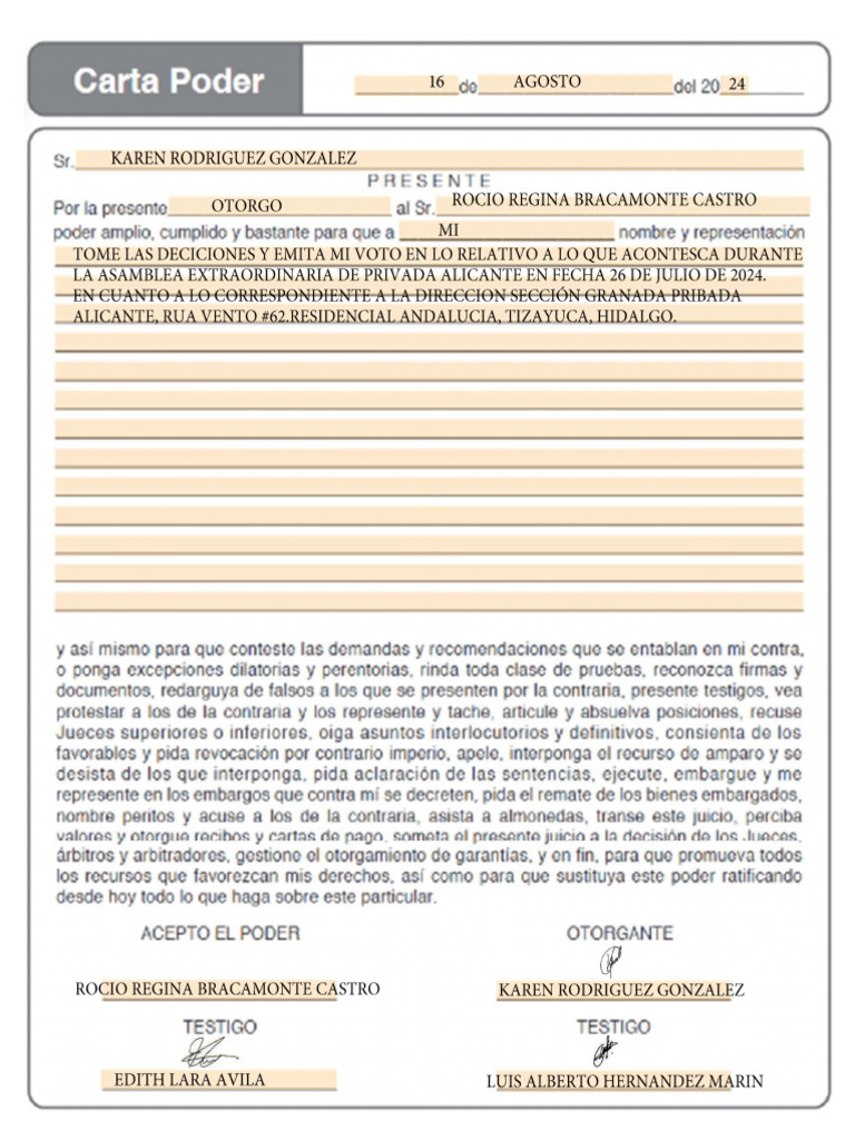 Carta Poder 16082024 | PDF