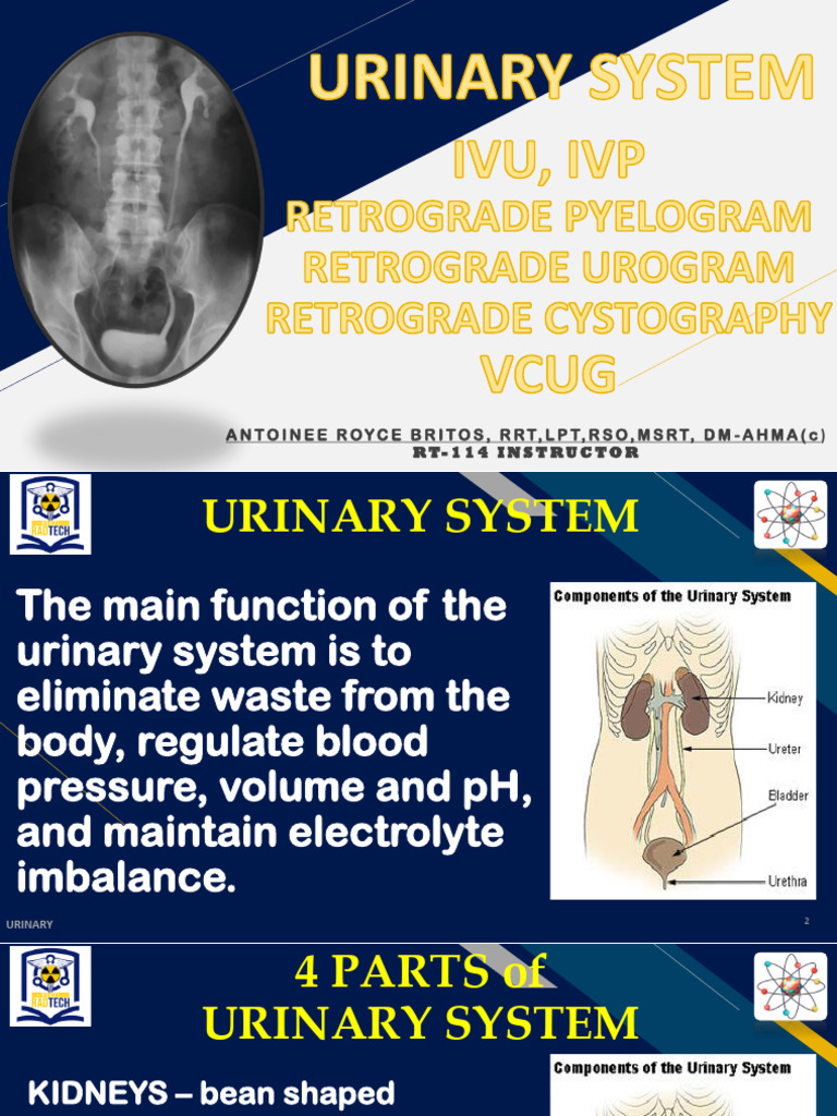 Urinary System Imaging Techniques Guide | PDF | Urinary System ...
