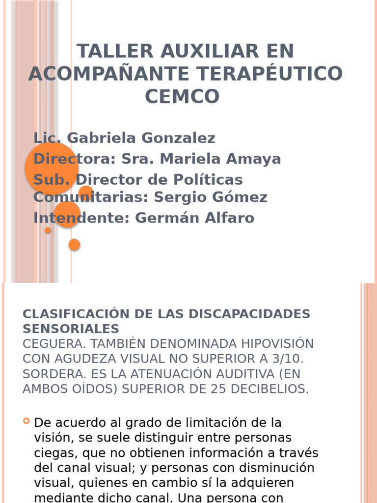 Taller Aux A.T Disc Visual Diap 6 | PDF | Discapacidad visual ...
