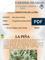 Cadena Productiva de La Piña