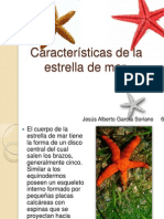 Características de La Estrella de Mar