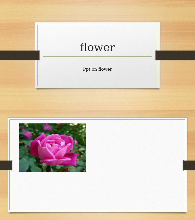 Flower | PDF