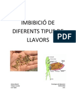 Imbibició de Diferents Tipus de Llavors