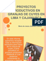Proyectos Productivos en Granjas de Cuyes en Lima