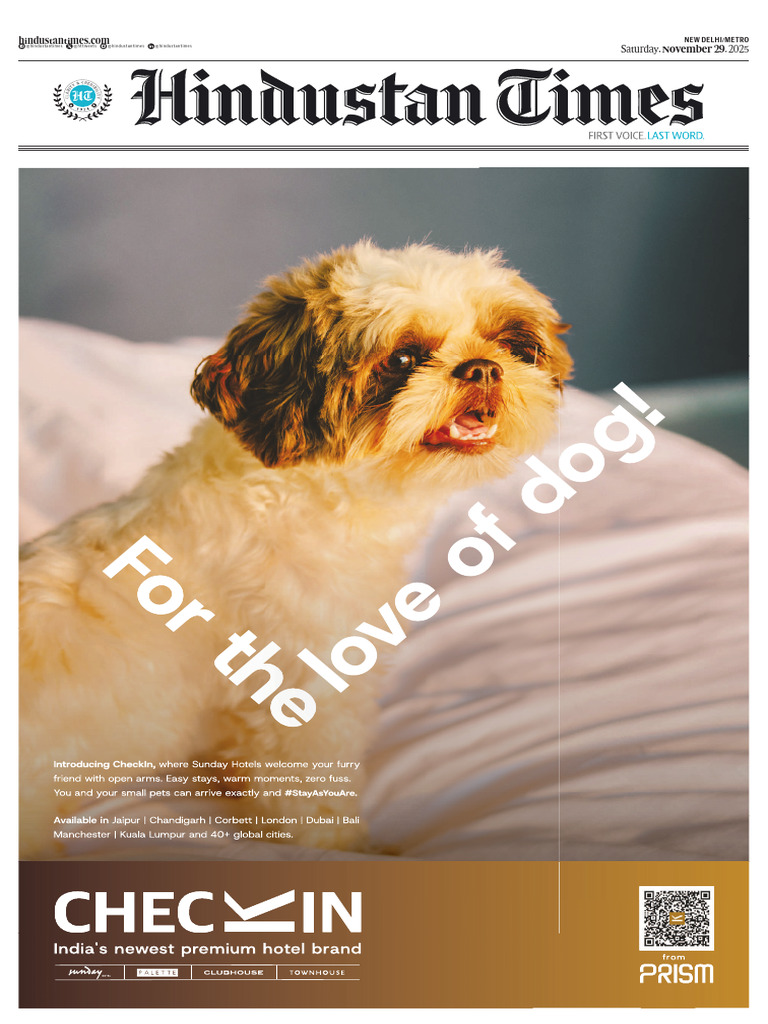 Computational Meme Understanding: A Survey, image size:768x1024