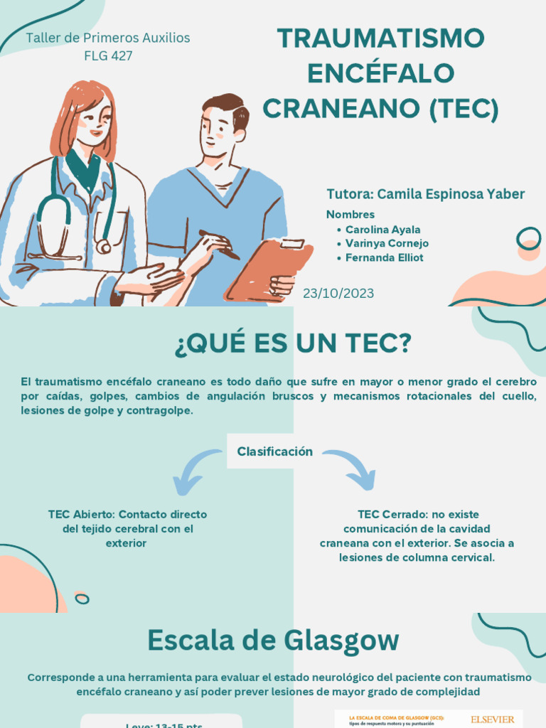 Guía de Primeros Auxilios para TEC | PDF | Lesión cerebral traumática ...
