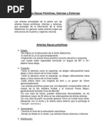 RESUMEN Arterias ilíacas Primitivas