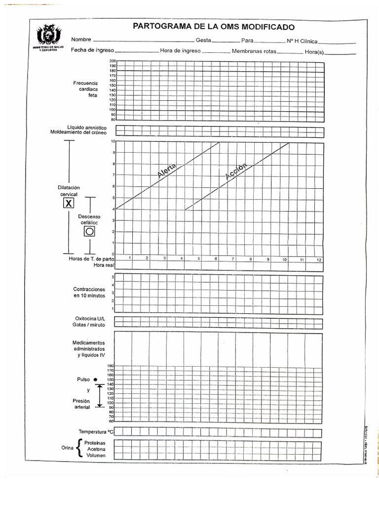 Modified WHO Partogram | PDF