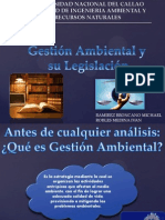 Gestion Ambiental VOficial