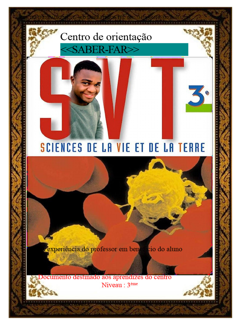 Programa de SVT para 3ª Série | PDF | Sangue | Nervo