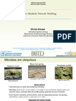 Cellular Metabolic Network Modeling