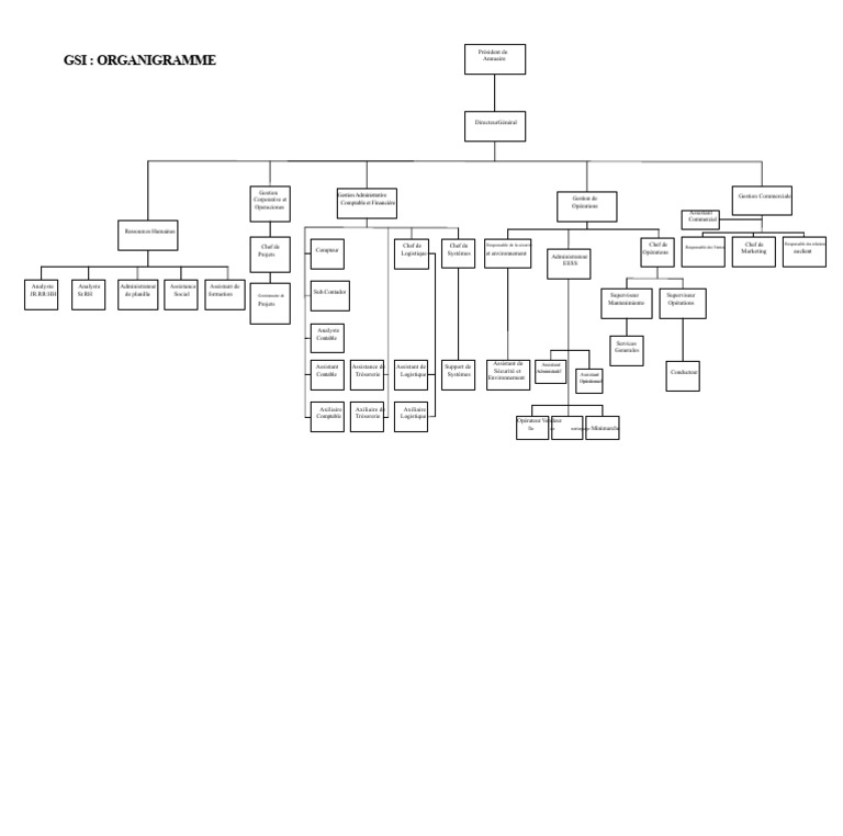 Organigramme de GSI : Structure et Rôles | PDF | Gestion des ressources ...