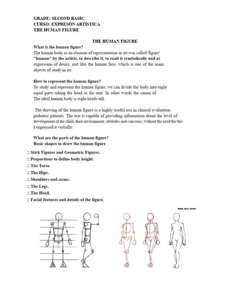 Drawing the Human Figure Basics | PDF | Drawing | Landscape