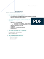 Funciones del rinon.pdf