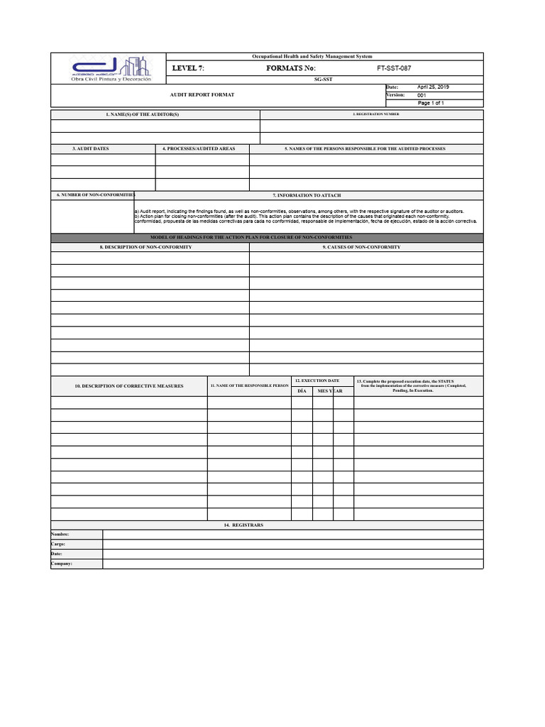 FT-SST-087 Audit Report Format | PDF | Audit | Chess