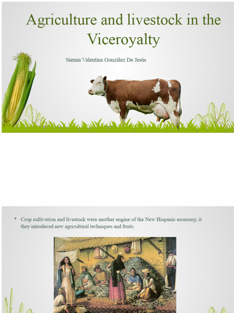 Agriculture and livestock in the Viceroyalty | PDF