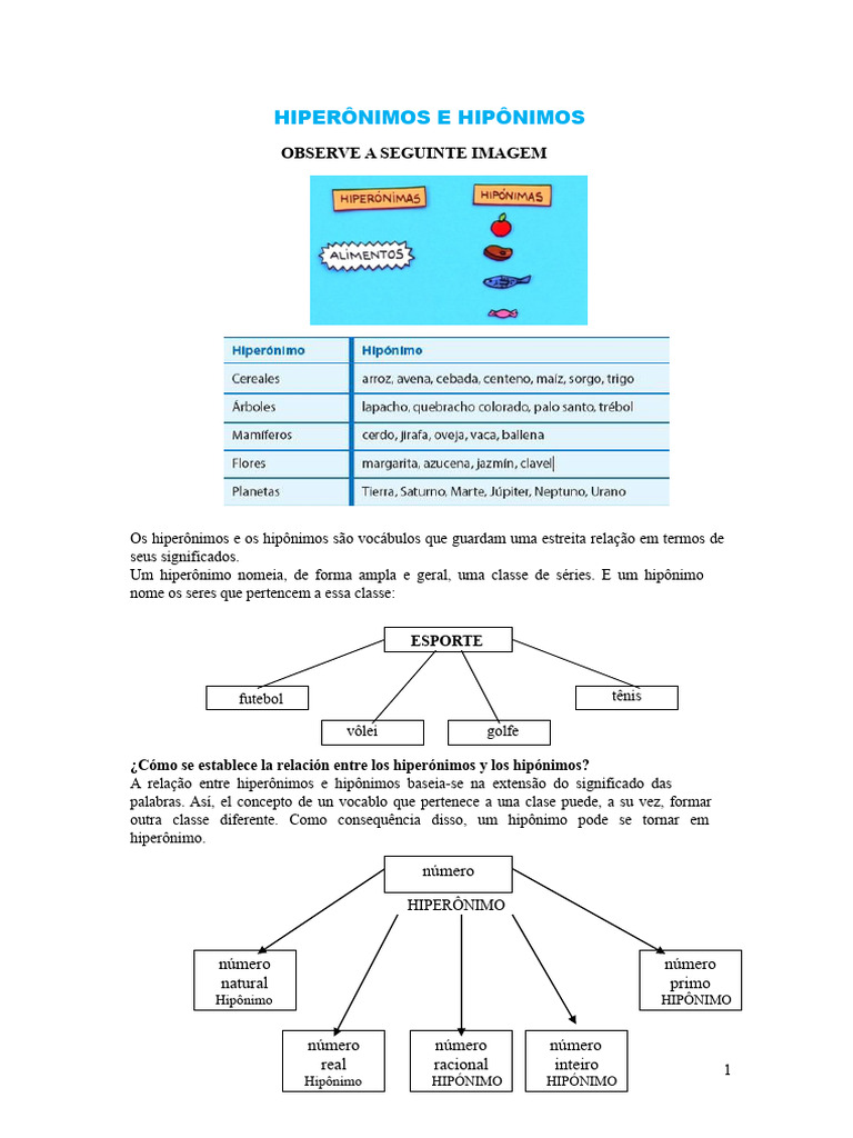 Hiperônimos e Hipônimos: Conceitos e Atividades | PDF